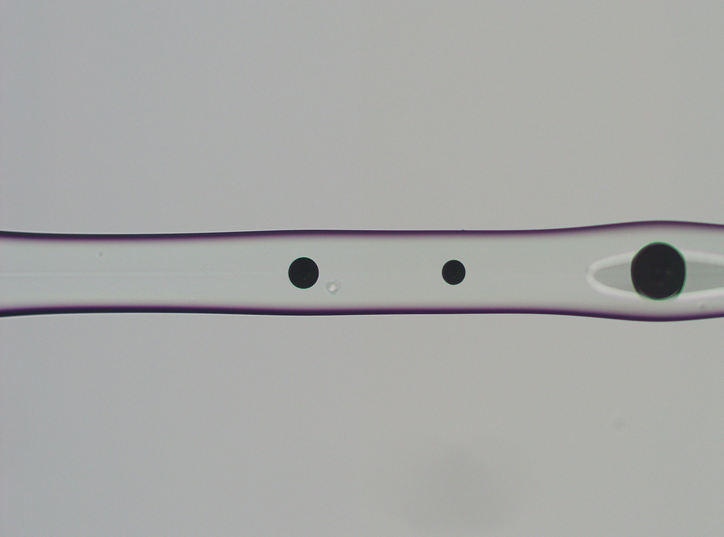 Fiber Cross-section