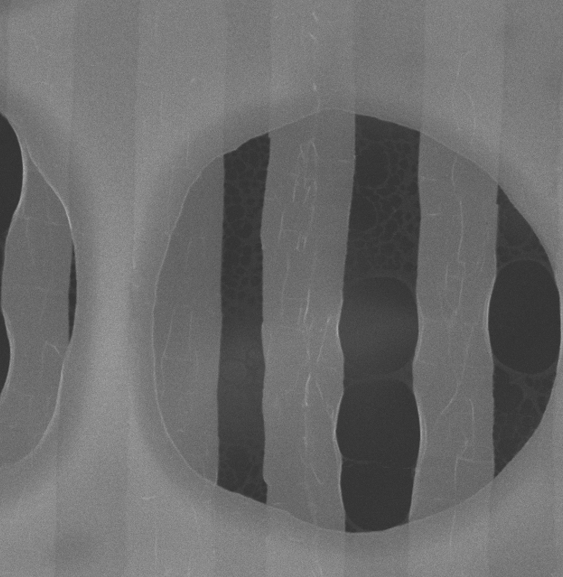 Fiber Cross-section